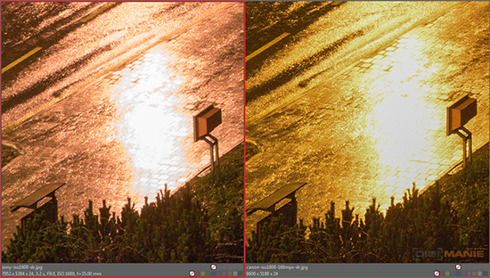 Jak by fotil 160MPx full frame čip? Otestovali jsme to