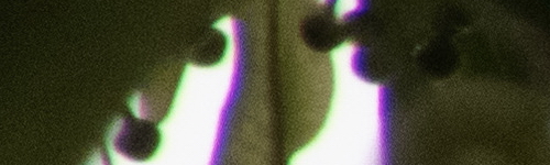 Nikon Coolpix B700: přírodovědec