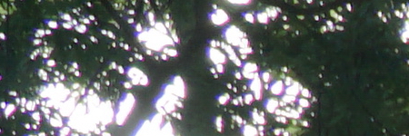 Sony E PZ 18-105mm F4 G OSS (SELP18105G)