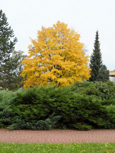 Samsung MV800: pro každý úhel i autoportréty