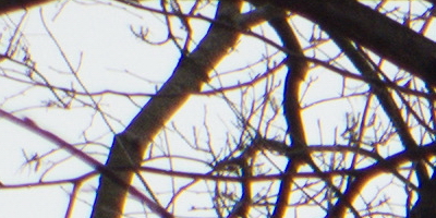 Samsung EX2F: významný krok vpřed