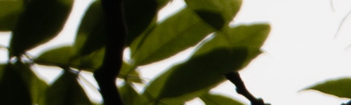 Panasonic Lumix S Pro 70-200mm F4 O.I.S.