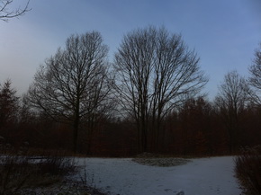 Panasonic Lumix LX7: kompaktní hvězda noci