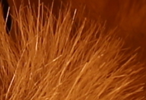 Canon EOS M: první pokus