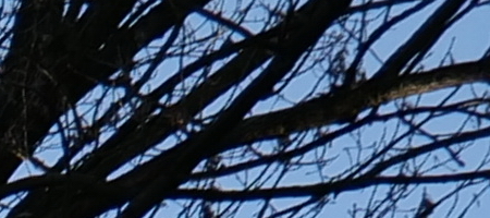 Panasonic Lumix S 20-60mm F3.5-5.6