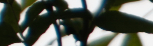 Panasonic Lumix S Pro 70-200mm F4 O.I.S.