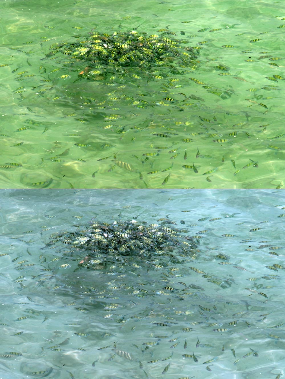 Úpravy fotografií v PC, 8.díl - barvy podruhé