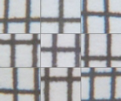 Fujifilm X-S1: jedinečný