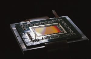 Digitály s několikaletou výdrží?