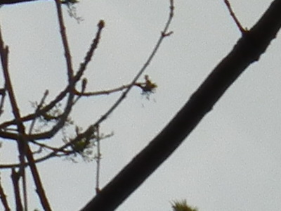 Fujifilm FinePix HS10: ultrazoom roku?