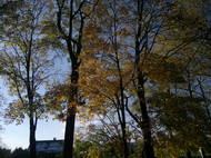 Fotíme mobilem: Panoramata jako nepřekonatelný problém?