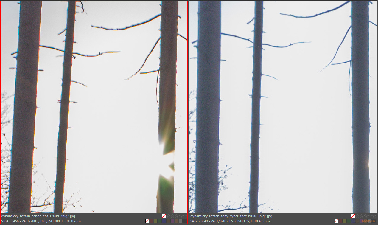 DSLR vs kompakt: Canon EOS 1200D s 18-55mm, Sony RX100