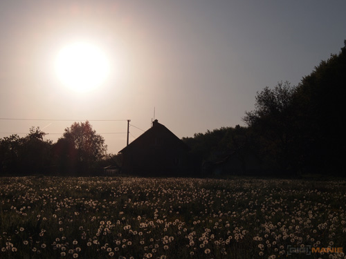 Olympus PEN E-PL2: PEN počtvrté a zase lépe