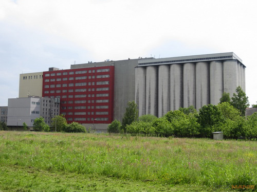 Canon IXUS 220 HS: multifunkční Karkulka