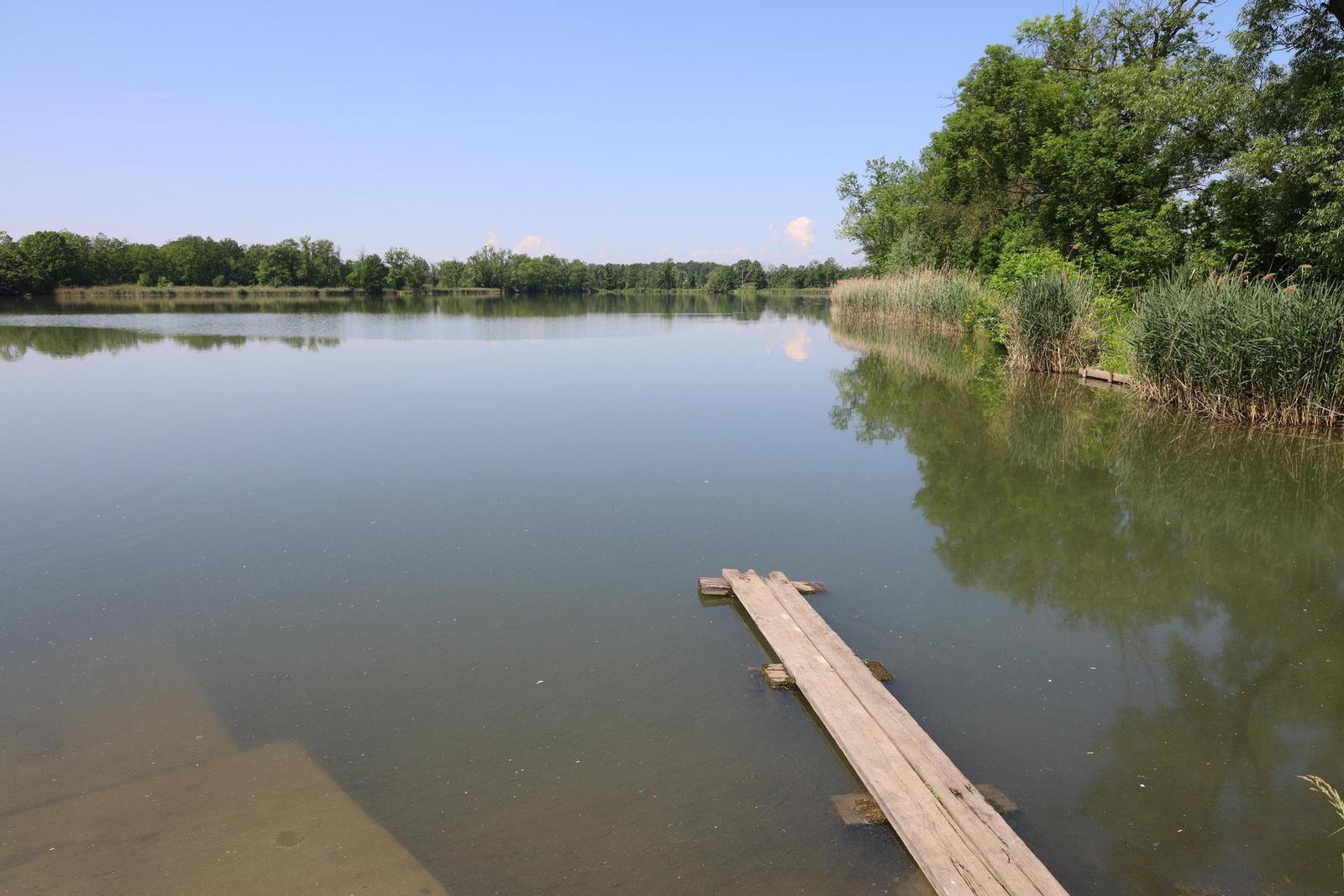 Canon RF 24-105mm f/4 L IS USM