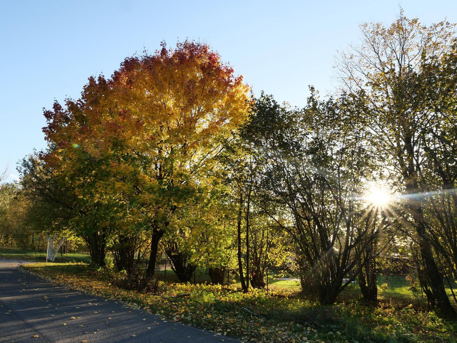 Panasonic Lumix GH5 II: nejen pro vloggery