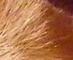 Pentax X70: neobyčejně univerzální kliďas