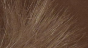 Nikon D3300: drobek se silným srdcem