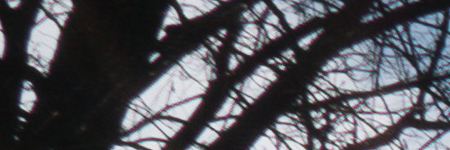 Panasonic Lumix LX100: pozoruhodný profi kompakt