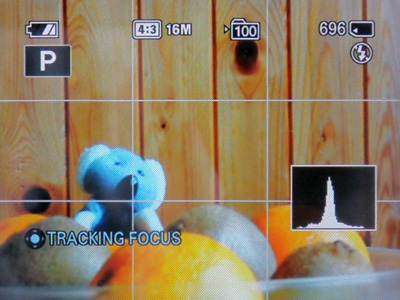 Fotíme s Koalou: Základy kompozice