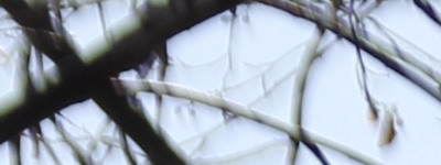 Megatest ultrazoomových objektivů