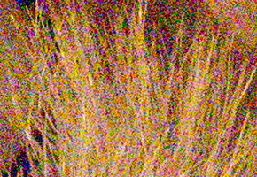 Olympus OM-D E-M5: elegantní fotokladivo