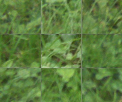 Panasonic Lumix G Vario 100-300mm F4-5,6