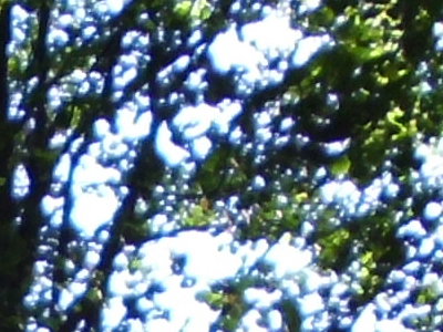 BenQ DC T1260: přítel citlivé peněženky