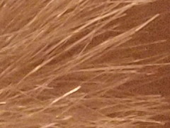 Olympus PEN E-PL2: PEN počtvrté a zase lépe