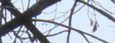 Megatest ultrazoomových objektivů