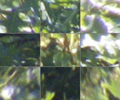 Fujifilm FinePix HS20EXR: důstojný nástupce