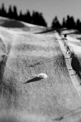 Vítězové Sony WPA 2009 vyhlášeni