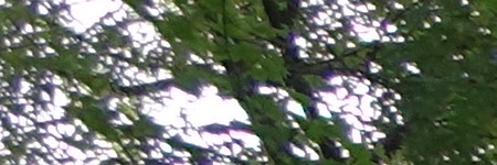 Sony Cyber-shot RX10: ultrazoom, jaký jsme chtěli