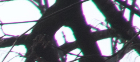 Nikon AF-S DX NIKKOR 16-85mm f/3.5-5.6G ED VR