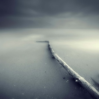 Vítězové Sony WPA 2009 vyhlášeni