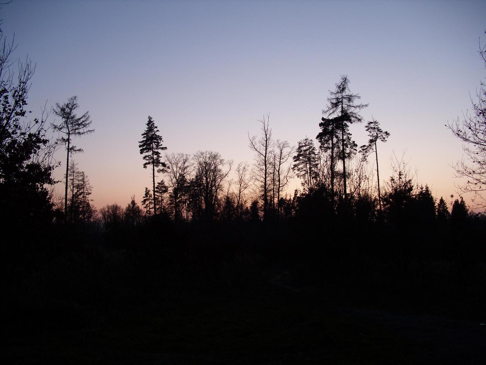 BenQ DC E1050: různorodý jako aprílové počasí