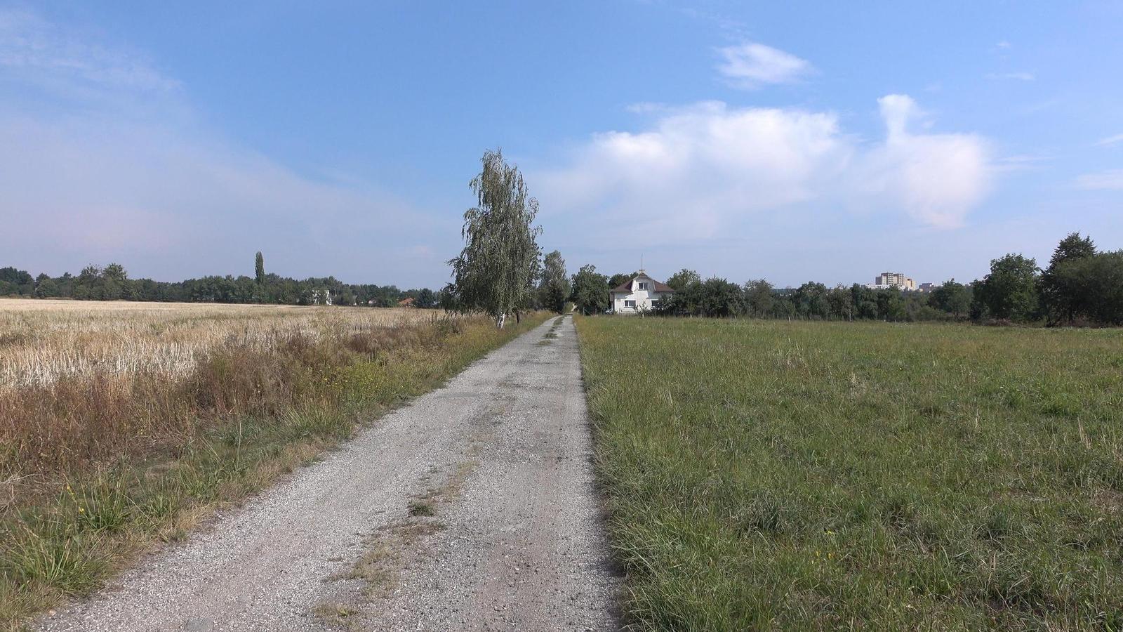 Sony Cyber-shot RX10 II: ve jménu videa