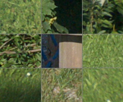 Panasonic Lumix G Vario 100-300mm F4-5,6