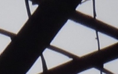 Sony Cyber-shot TX10: odolný zálesák