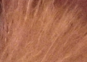 Fujifilm FinePix T200: nejlevnější ultrazoom Fuji