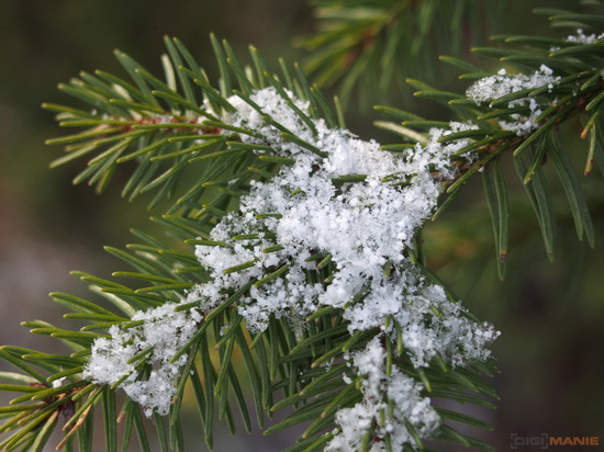 Olympus PEN E-PL5: s výkonnějším srdcem