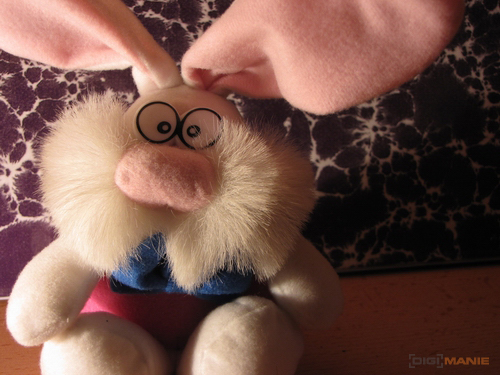 Canon PowerShot SX1 IS vs. SX10 IS: souboj CMOS a CCD