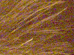 Olympus PEN E-PL2: PEN počtvrté a zase lépe