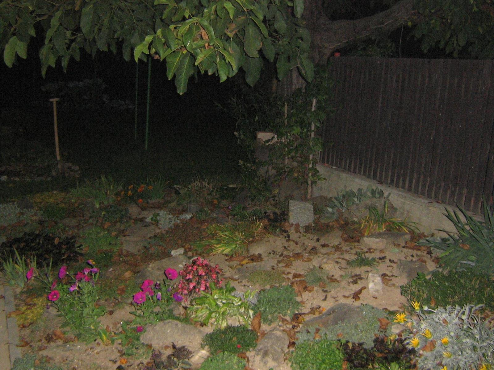 Canon PowerShot A410: Levně a jednoduše