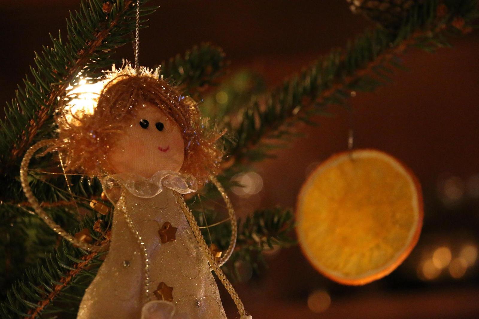 Canon EOS 70D: velmi příjemný společník