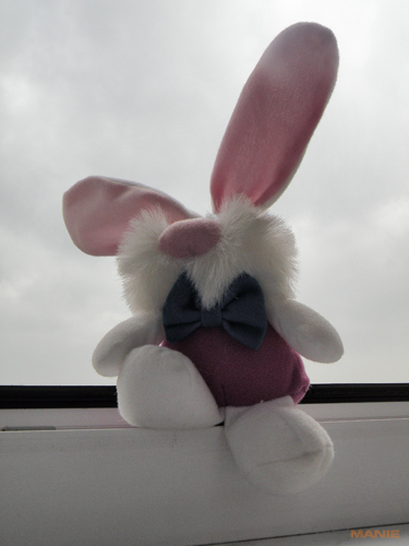 Nikon Coolpix P80: ultrazoom plný protikladů