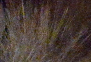 Nikon D600: vynikající vstup do světa full frame