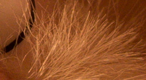 Canon PowerShot G1 X Mark II: významné zlepšení