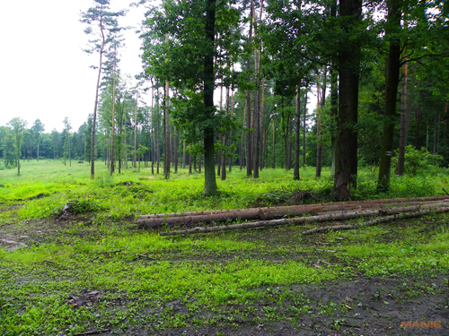 Pentax X70: neobyčejně univerzální kliďas