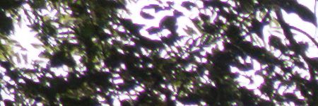 Panasonic Lumix FZ300: opět na špici